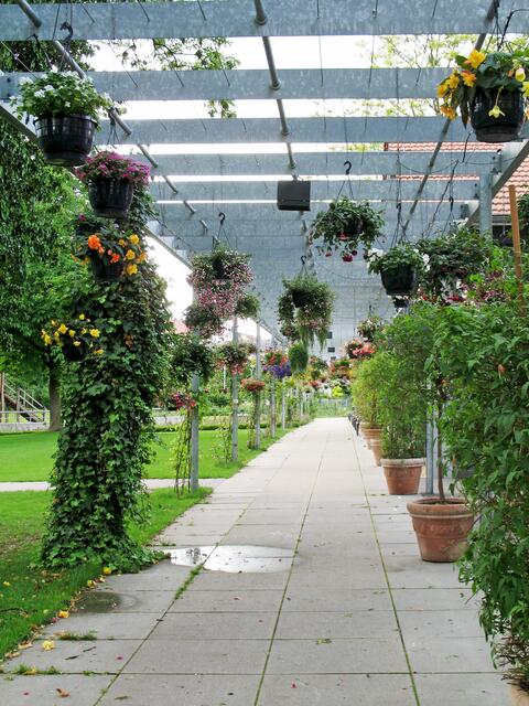 Blumensommergelände Nordheim