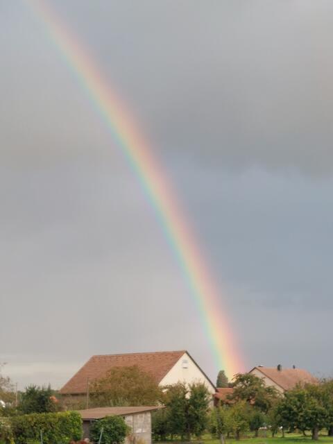 Die Überraschung: Ein strahlender Regenbogen !