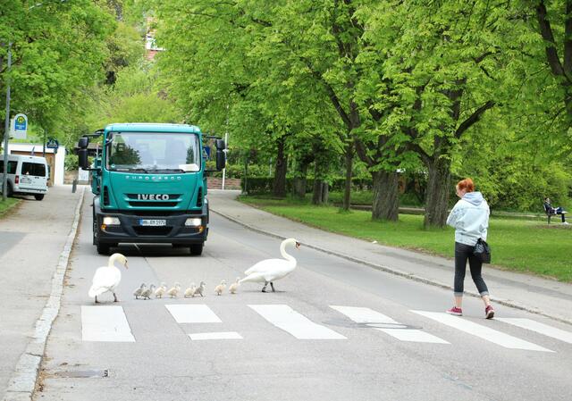 Sicherer Weg über die Straße