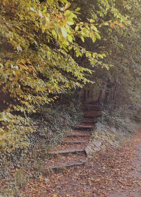 Herbsttreppe