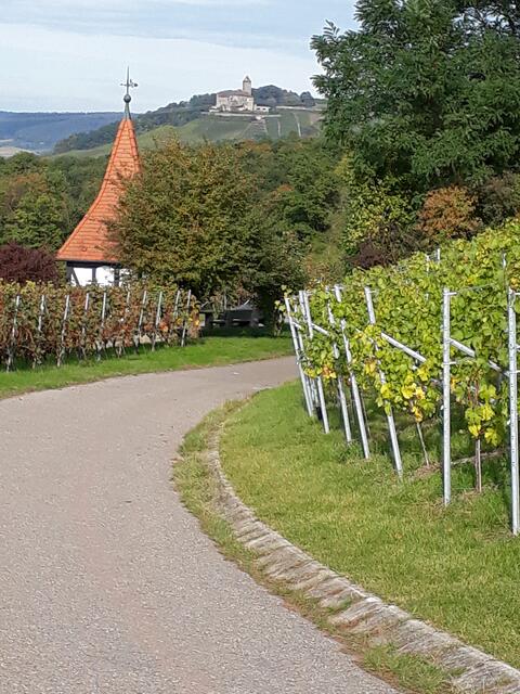 Weg zum Harzberghäusle, Großbottwar (oben Burg Lichtenberg)