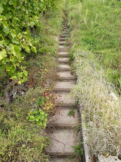 Wasserstaffel am Weg zum Harzberg, Großbottwar