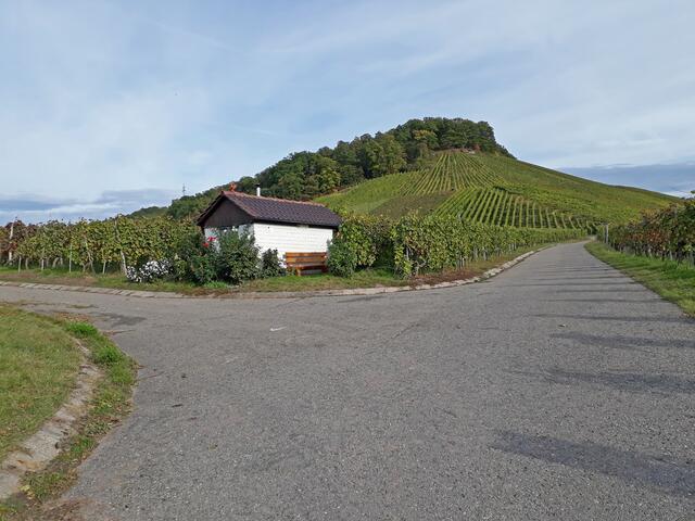 Drei Weinbergwege treffen sich, Großbottwar