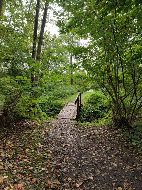 Über den Brückenweg