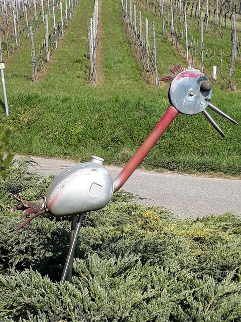 schräger Vogel am Wanderweg nach Nordheim