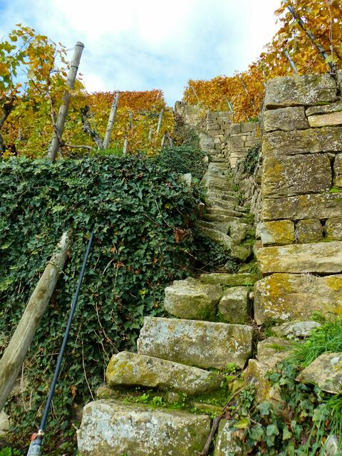 noch ein "Stäffele"!