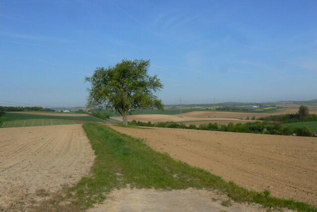 Feldweg in die weite Welt