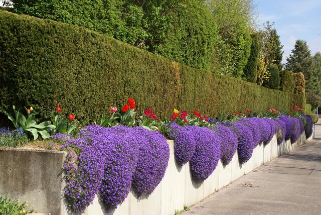 Schwaigerner Fußgängerwegle