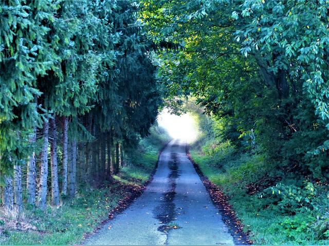 Kraichgauer Hohlweg 3