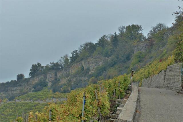 Unter den Besigheimer Felsengärten