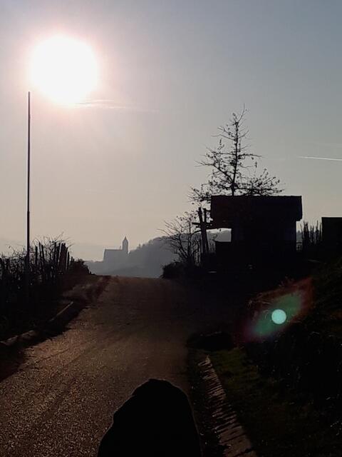 am Zweifelberg, im Hintergrund Stocksberg