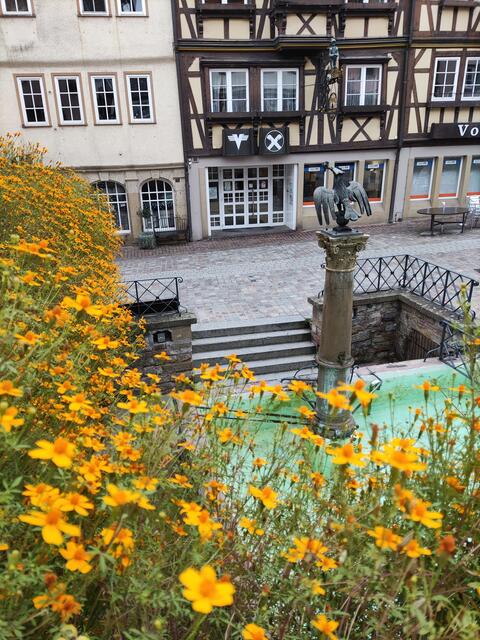 Weg zum Brunnen mit einer Treppe