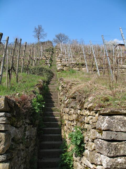 noch ein Wengertstäffele, Baumbachtal Walheim