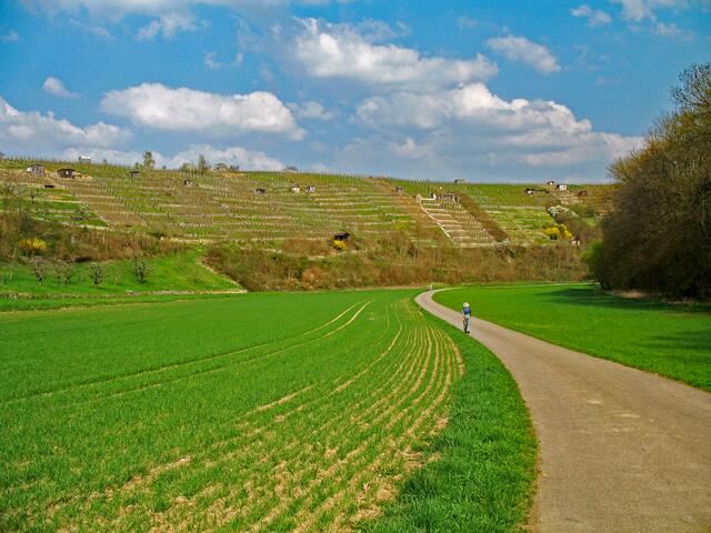 eine der schönen Wandermöglichkeiten um Walheim: das Baumbachtal