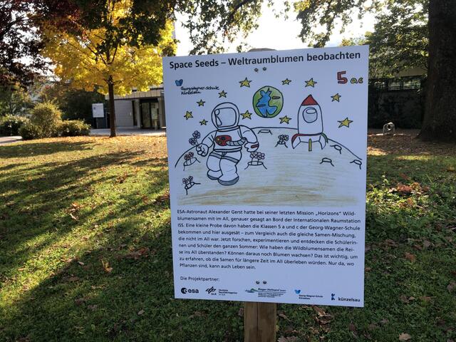 Weltraumblumen beobachten