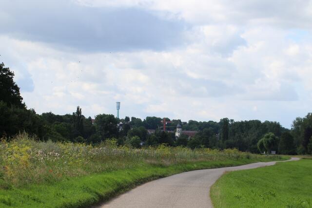 Weg von Degmarn nach Oedheim im Sommer, den Wasserturm und die Kirche immer in Sichtweite