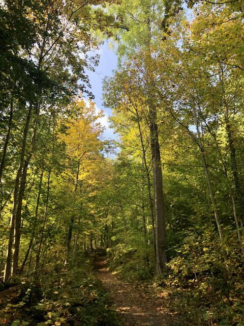 Auf herbstlichen Wegen unterwegs…