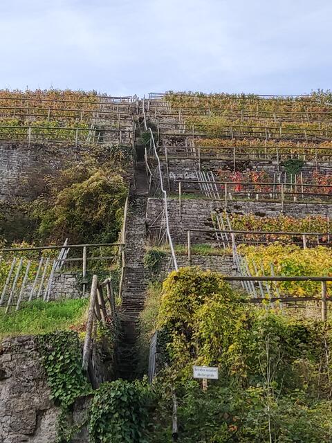 Lang ist die Treppe!