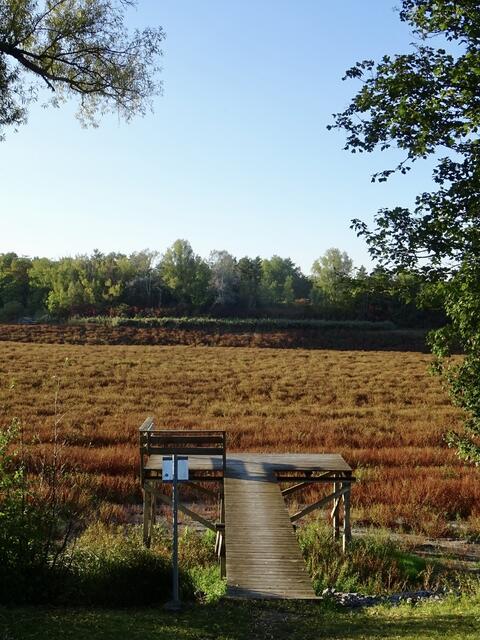 Breitenauer „See“