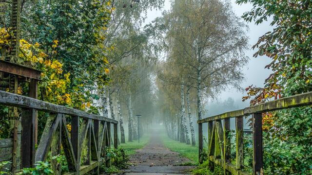 Der Weg ins Ungewisse