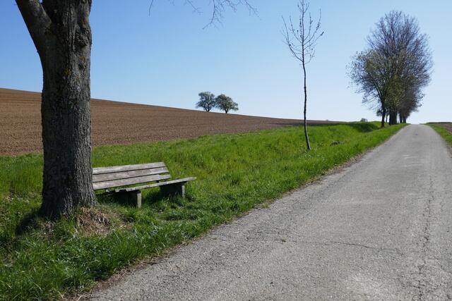 Weg mit Bank zum Ausruhen