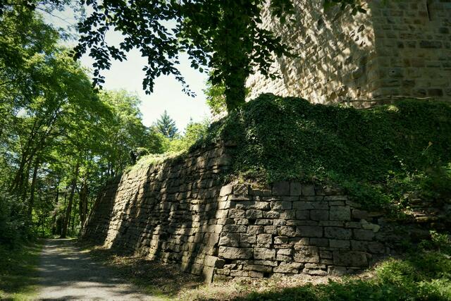 Weg zur Ruine Blankenhorn
