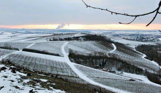 Der erste Schnee in den Weinbergen/Neipperg