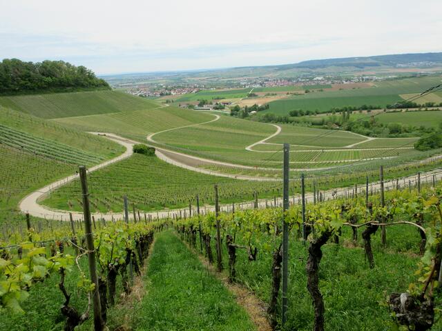 Viele Wege führen nach...zum Ziel