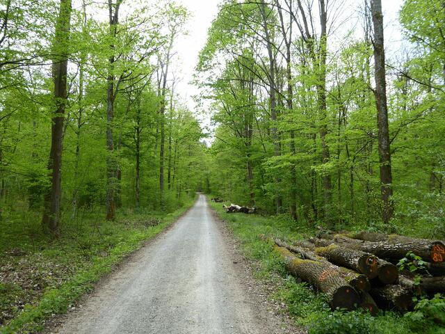 Auf geradem Weg / Brunnenweg