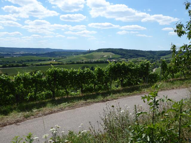 Wege zum Schloß Stocksberg