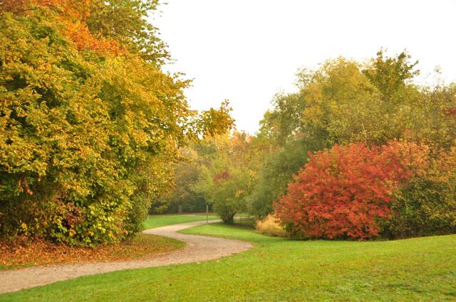 Herbstzeit im Ziegeleipark Bö.