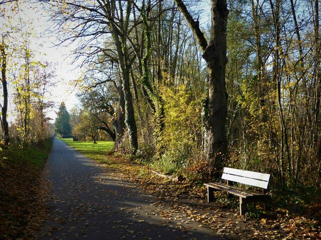 Fahrradweg am Leinbach