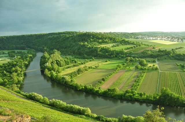 Neckarschleife in Hessigheim