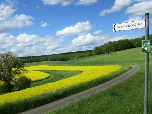 Pfad der Stille bei Neunstetten