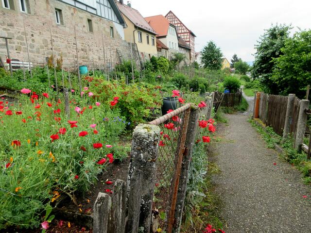 Fußweg in Löwenstein