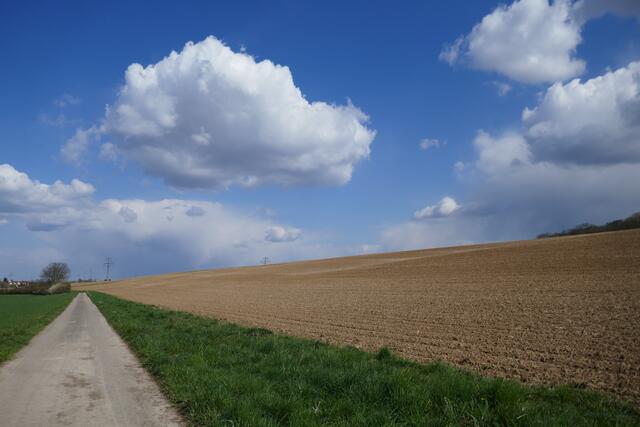 Am Ackerrain entlang