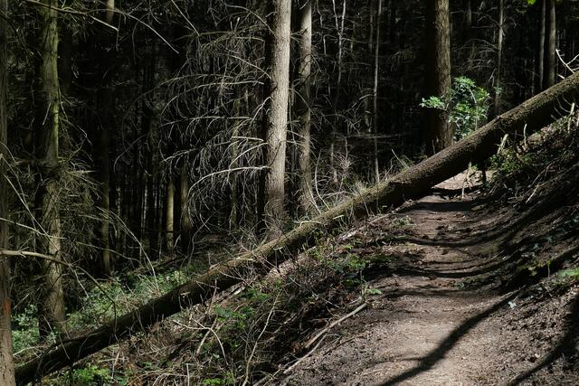 Der Weg ist versperrt