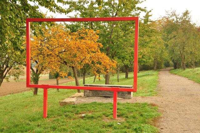 NaturKino in Böckingen 2