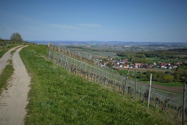 Auf der Höhe von Haberschlacht