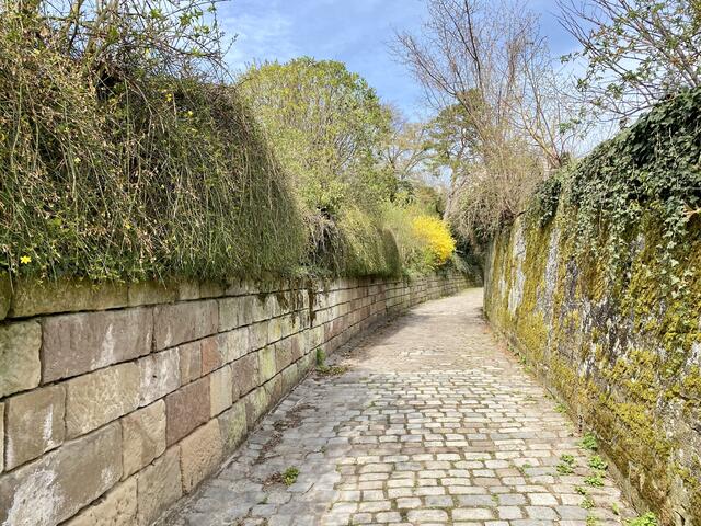 Steige hoch zum Wartberg