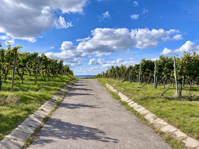 Dem Himmel so nah...