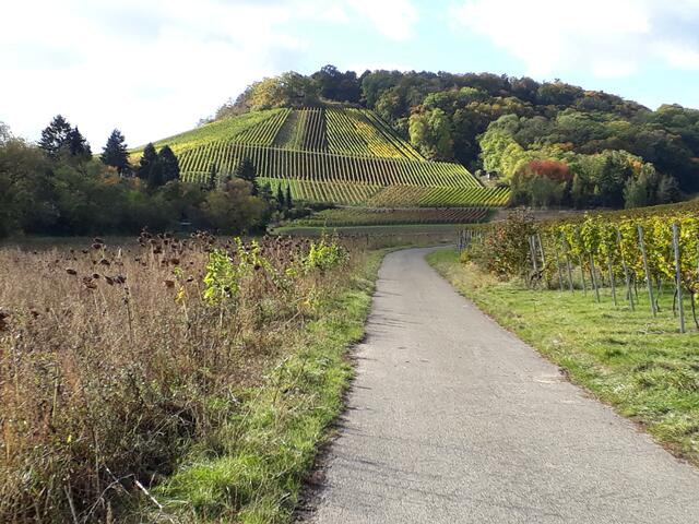 heut war ein wunderbares Licht .... Nähe Streckbauchquelle