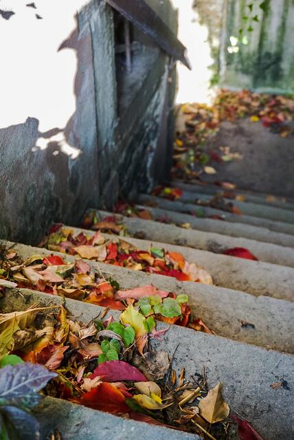Herbstliche Stimmung