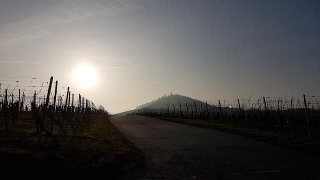 unser liebster Spazierweg