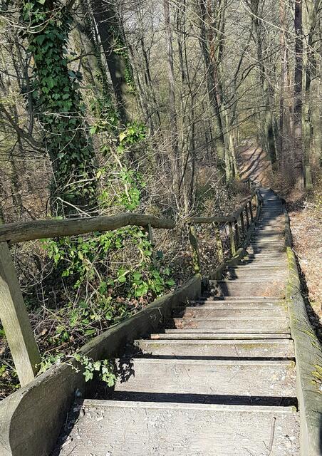 Himmelsleiter im Zabergäu