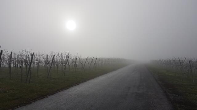 Weg im Nebel