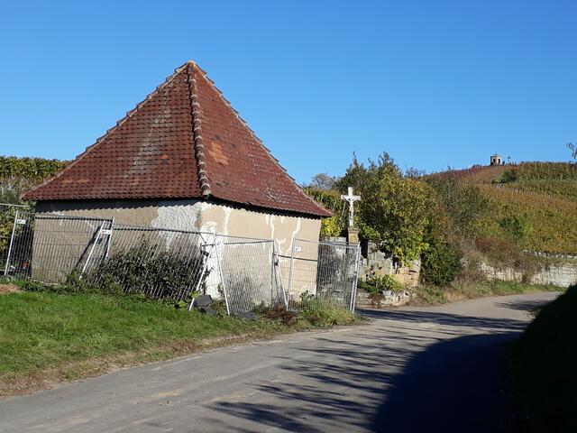auf der Runde um den Staufenberg (Flein)