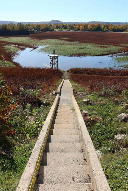 Treppe in den Breitenauer See