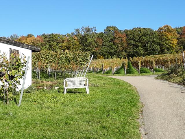 für müde Wengerter und Wanderer (bei Flein)