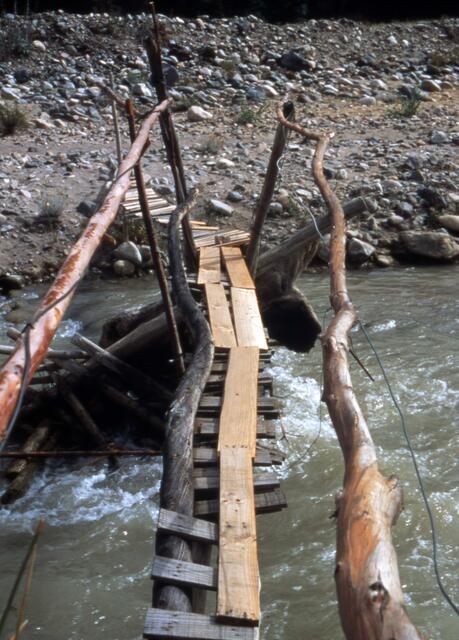 Der Pfad führt über den Bach (außer Konkurrenz)